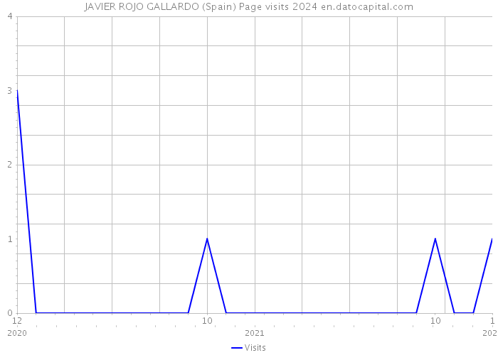 JAVIER ROJO GALLARDO (Spain) Page visits 2024 
