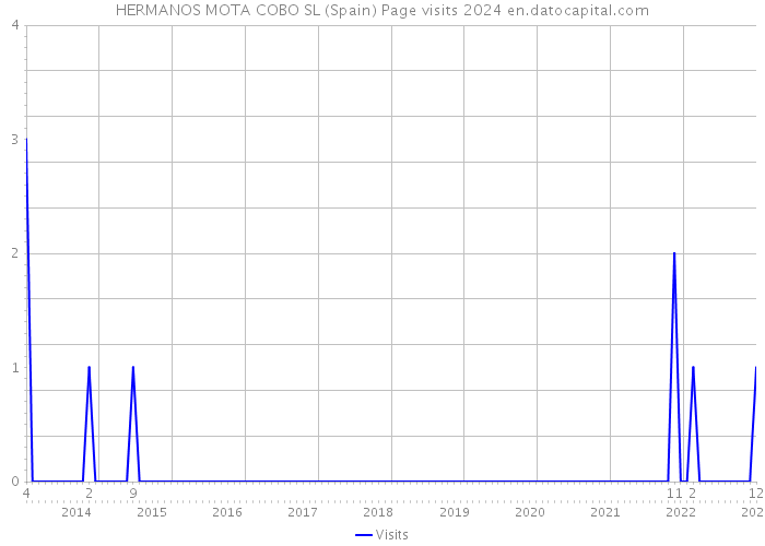 HERMANOS MOTA COBO SL (Spain) Page visits 2024 