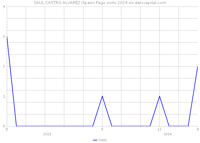 SAUL CASTRO ALVAREZ (Spain) Page visits 2024 