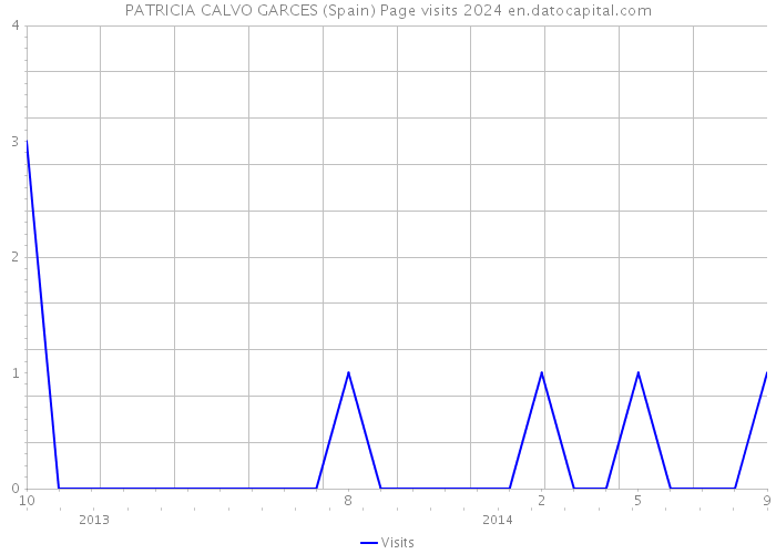 PATRICIA CALVO GARCES (Spain) Page visits 2024 