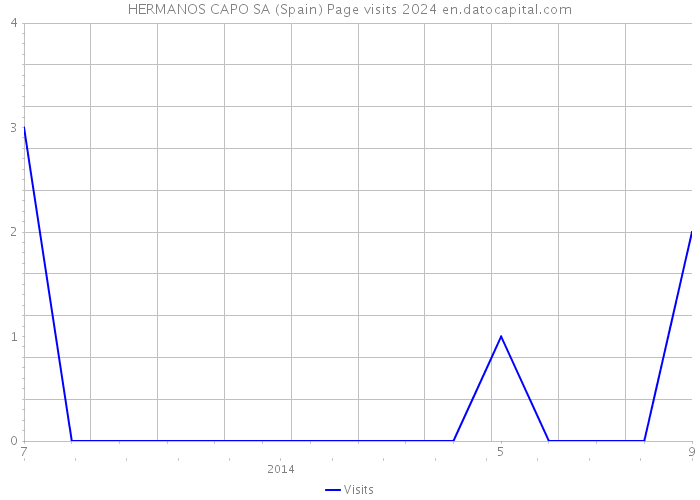 HERMANOS CAPO SA (Spain) Page visits 2024 
