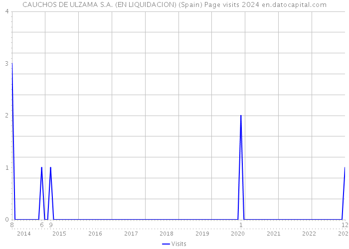 CAUCHOS DE ULZAMA S.A. (EN LIQUIDACION) (Spain) Page visits 2024 