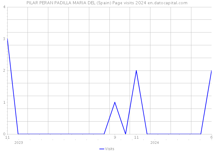 PILAR PERAN PADILLA MARIA DEL (Spain) Page visits 2024 