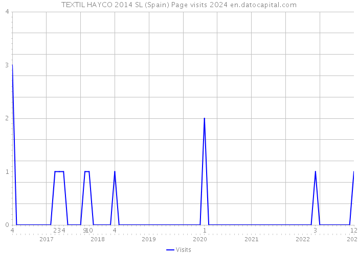 TEXTIL HAYCO 2014 SL (Spain) Page visits 2024 