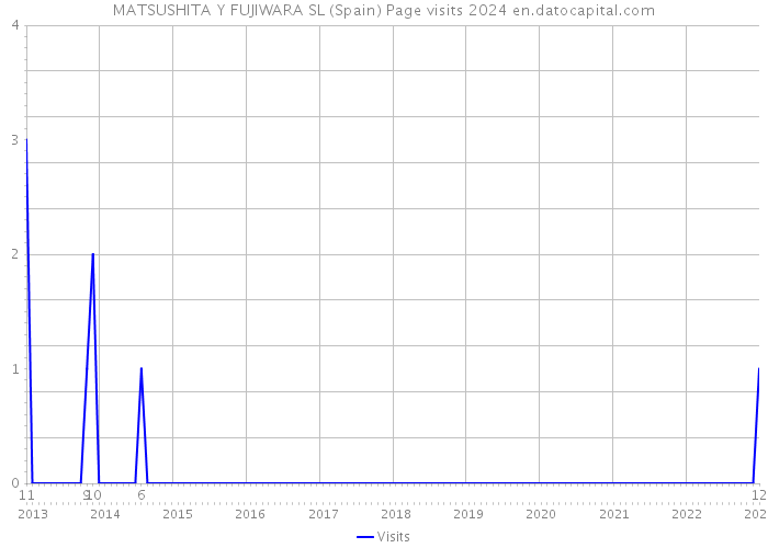 MATSUSHITA Y FUJIWARA SL (Spain) Page visits 2024 