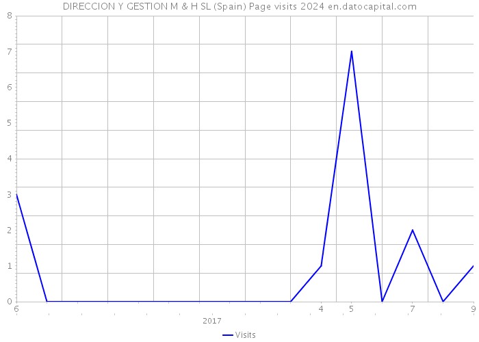 DIRECCION Y GESTION M & H SL (Spain) Page visits 2024 