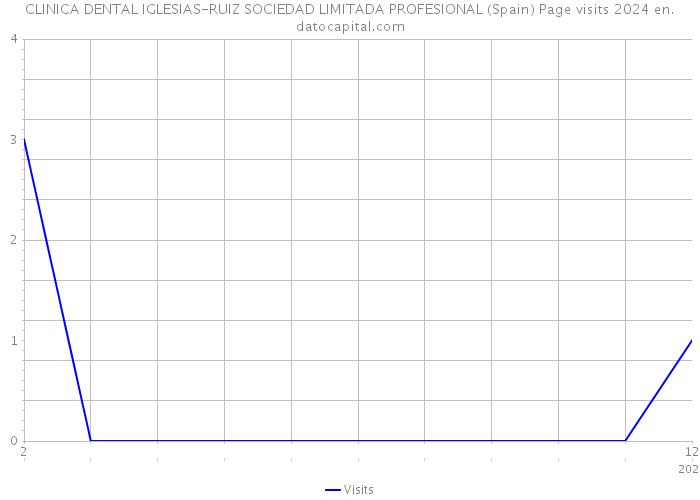 CLINICA DENTAL IGLESIAS-RUIZ SOCIEDAD LIMITADA PROFESIONAL (Spain) Page visits 2024 
