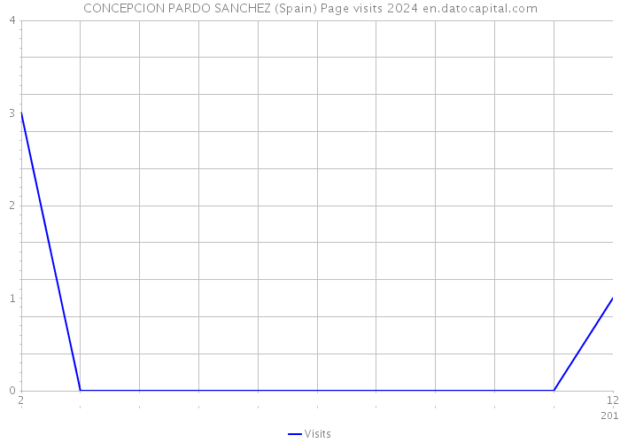 CONCEPCION PARDO SANCHEZ (Spain) Page visits 2024 