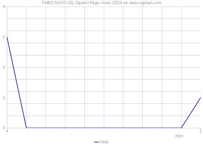 FABIO NOVO GIL (Spain) Page visits 2024 
