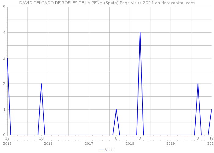 DAVID DELGADO DE ROBLES DE LA PEÑA (Spain) Page visits 2024 