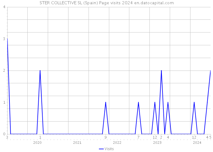 STER COLLECTIVE SL (Spain) Page visits 2024 
