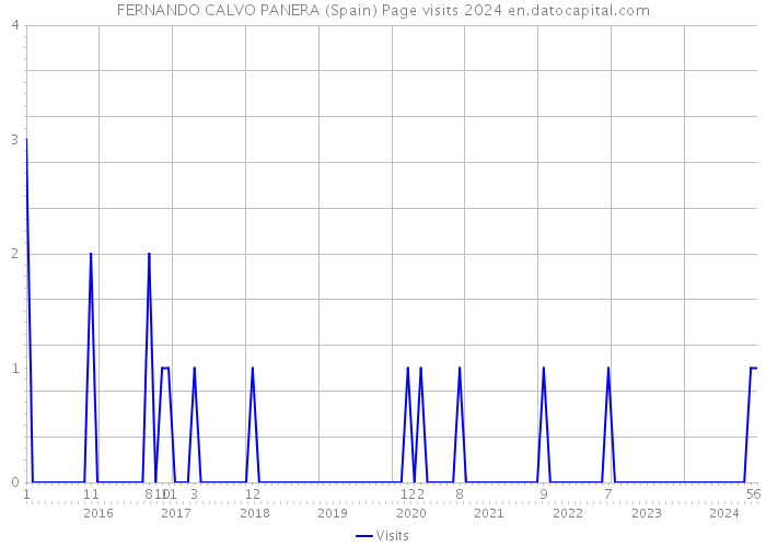 FERNANDO CALVO PANERA (Spain) Page visits 2024 