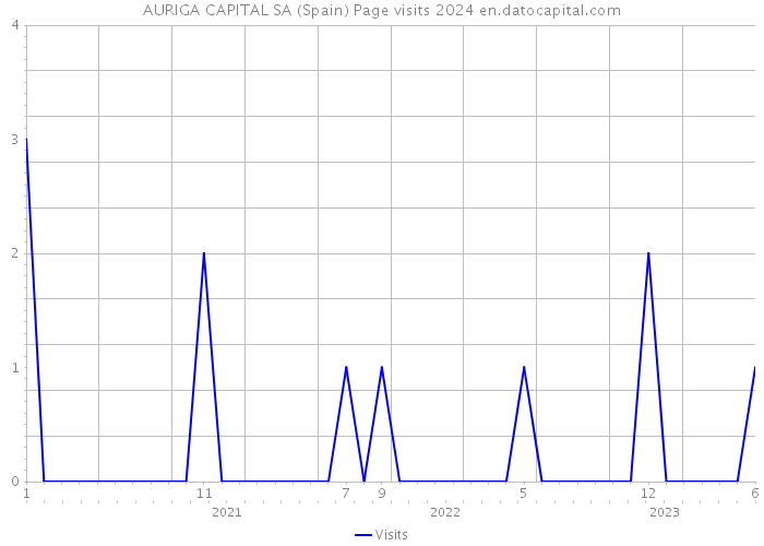 AURIGA CAPITAL SA (Spain) Page visits 2024 