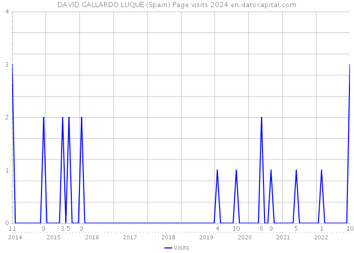 DAVID GALLARDO LUQUE (Spain) Page visits 2024 