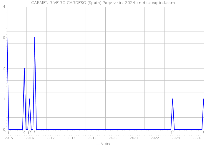 CARMEN RIVEIRO CARDESO (Spain) Page visits 2024 