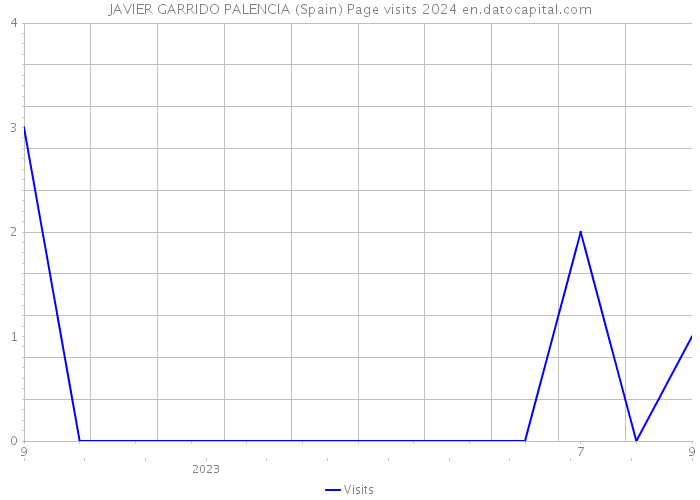 JAVIER GARRIDO PALENCIA (Spain) Page visits 2024 