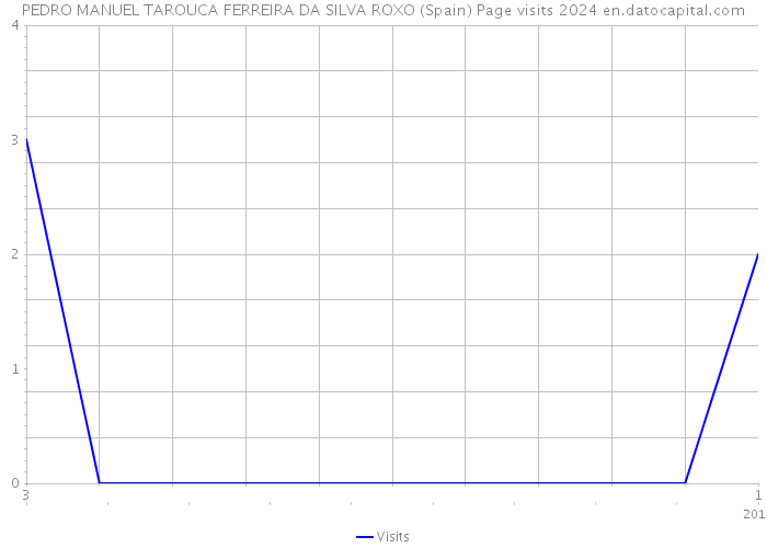 PEDRO MANUEL TAROUCA FERREIRA DA SILVA ROXO (Spain) Page visits 2024 