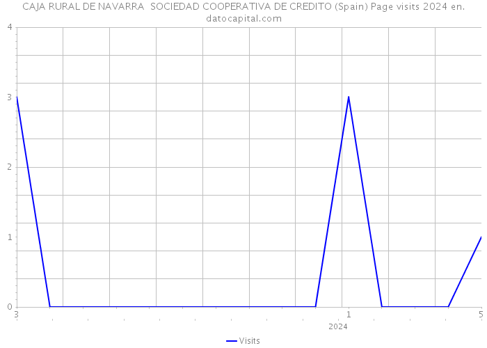 CAJA RURAL DE NAVARRA SOCIEDAD COOPERATIVA DE CREDITO (Spain) Page visits 2024 