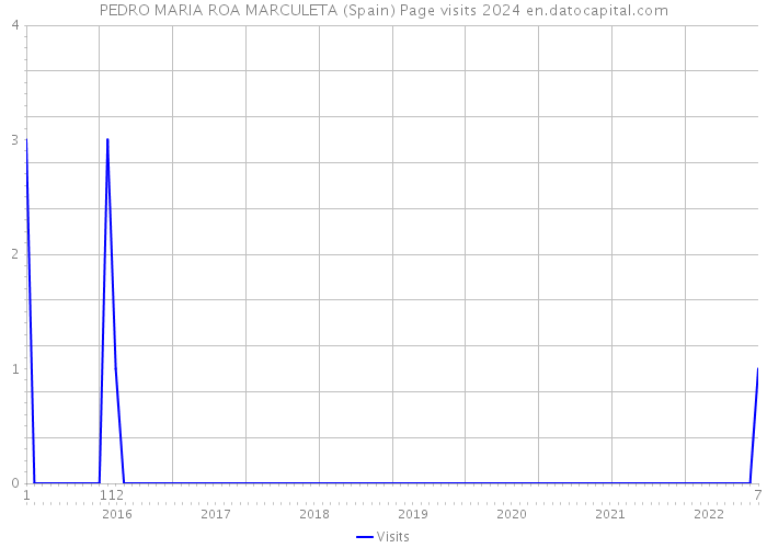 PEDRO MARIA ROA MARCULETA (Spain) Page visits 2024 