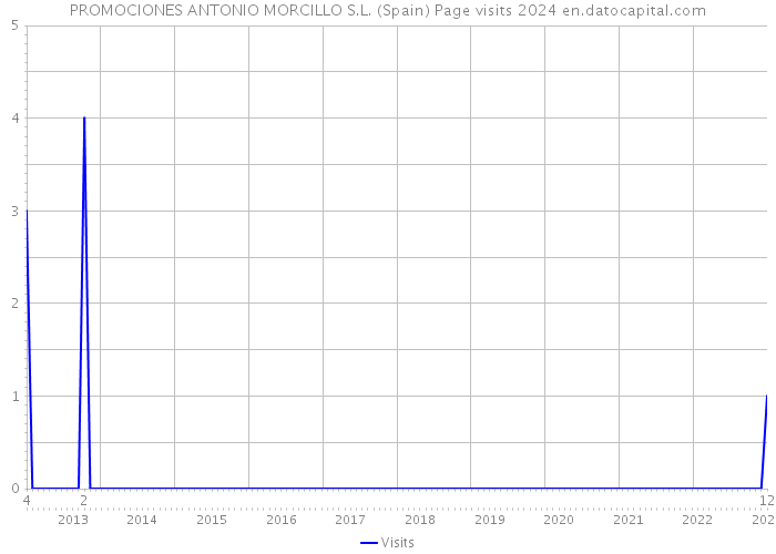 PROMOCIONES ANTONIO MORCILLO S.L. (Spain) Page visits 2024 