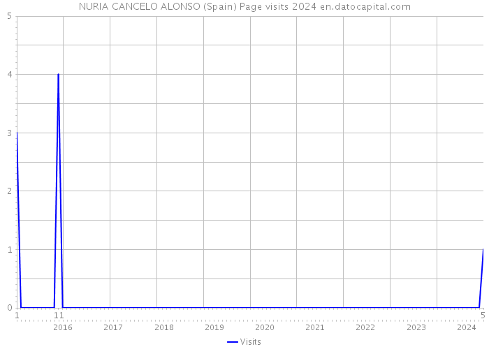 NURIA CANCELO ALONSO (Spain) Page visits 2024 