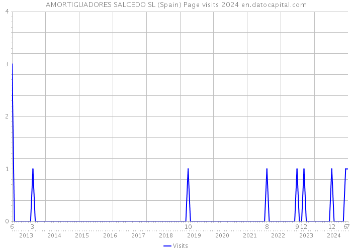 AMORTIGUADORES SALCEDO SL (Spain) Page visits 2024 