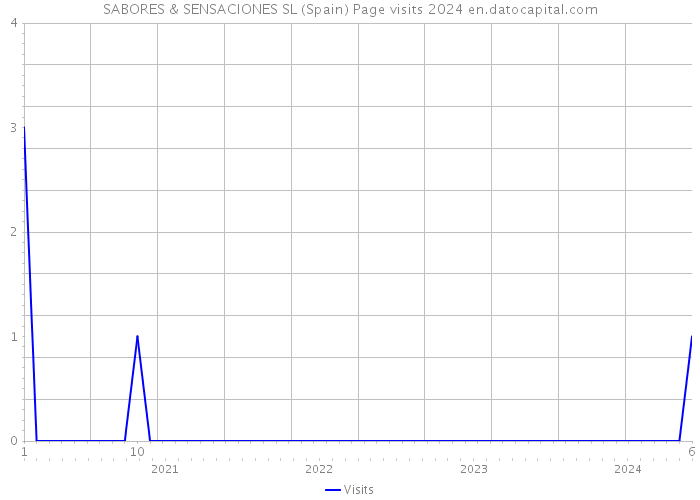 SABORES & SENSACIONES SL (Spain) Page visits 2024 
