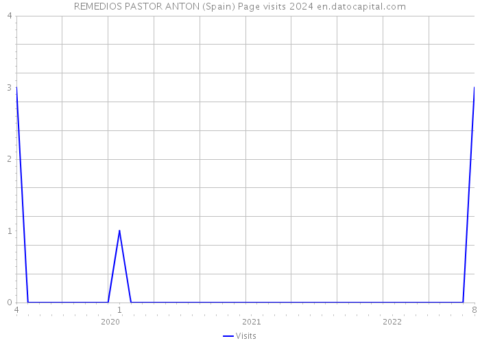 REMEDIOS PASTOR ANTON (Spain) Page visits 2024 