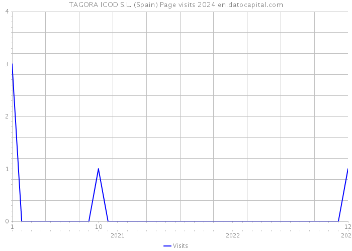 TAGORA ICOD S.L. (Spain) Page visits 2024 