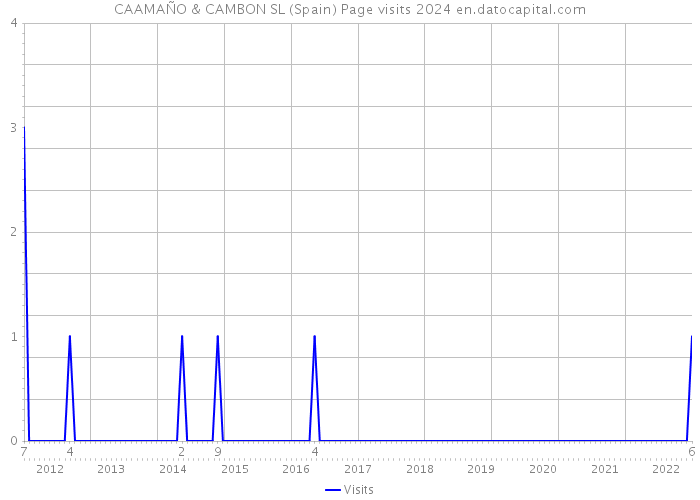CAAMAÑO & CAMBON SL (Spain) Page visits 2024 