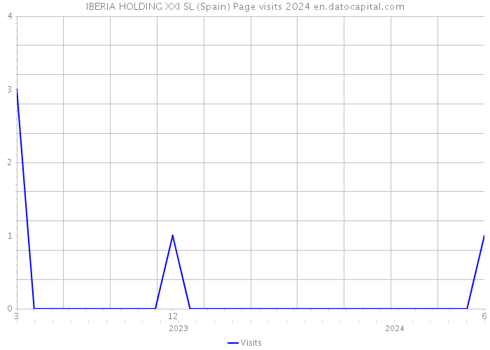 IBERIA HOLDING XXI SL (Spain) Page visits 2024 