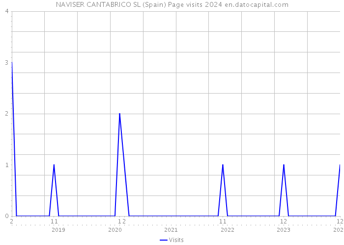 NAVISER CANTABRICO SL (Spain) Page visits 2024 