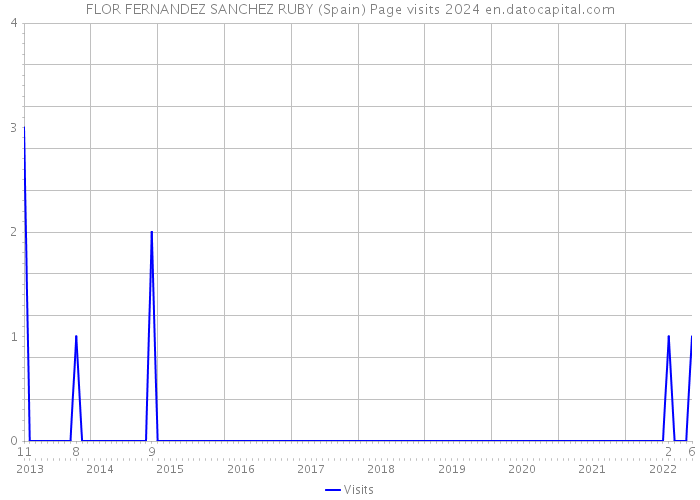 FLOR FERNANDEZ SANCHEZ RUBY (Spain) Page visits 2024 