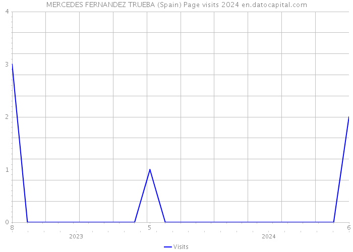 MERCEDES FERNANDEZ TRUEBA (Spain) Page visits 2024 