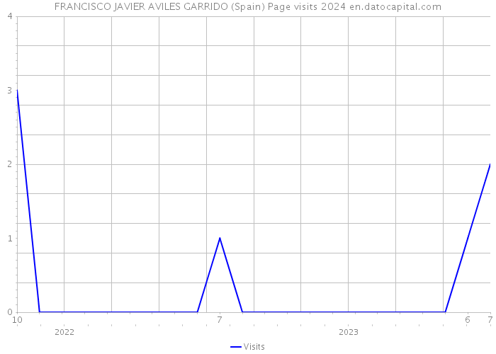 FRANCISCO JAVIER AVILES GARRIDO (Spain) Page visits 2024 