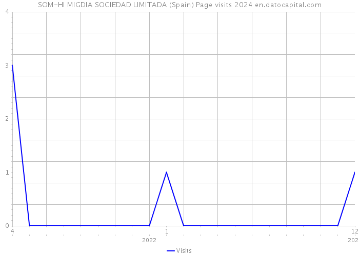 SOM-HI MIGDIA SOCIEDAD LIMITADA (Spain) Page visits 2024 