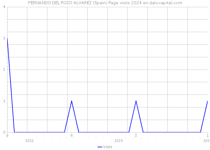 FERNANDO DEL POZO ALVAREZ (Spain) Page visits 2024 