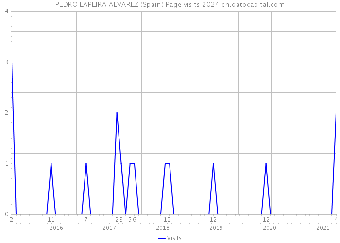 PEDRO LAPEIRA ALVAREZ (Spain) Page visits 2024 