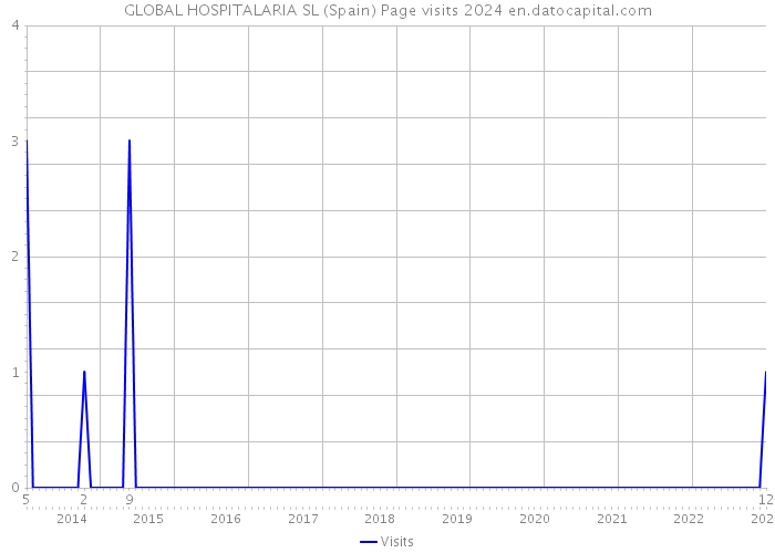 GLOBAL HOSPITALARIA SL (Spain) Page visits 2024 