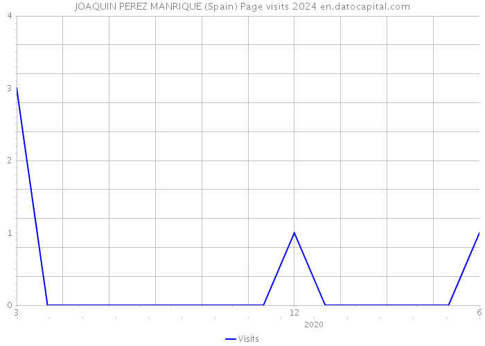 JOAQUIN PEREZ MANRIQUE (Spain) Page visits 2024 