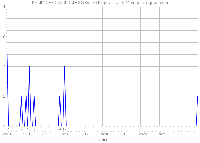 KARIM CHEDDADI DUDOC (Spain) Page visits 2024 