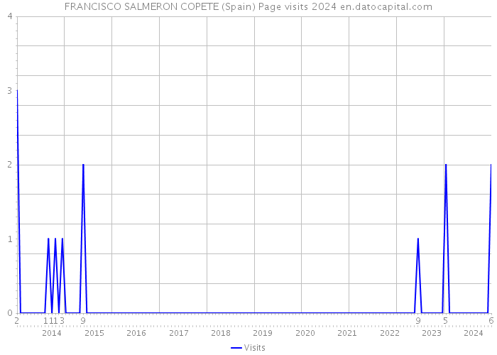 FRANCISCO SALMERON COPETE (Spain) Page visits 2024 