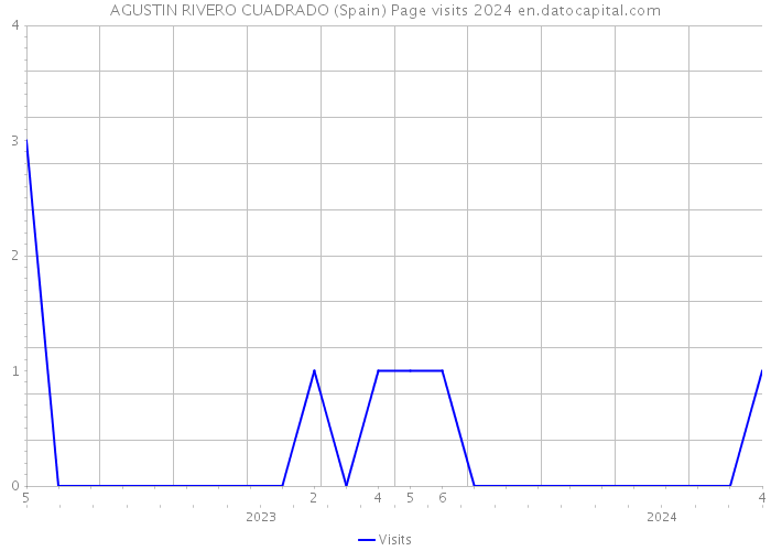 AGUSTIN RIVERO CUADRADO (Spain) Page visits 2024 