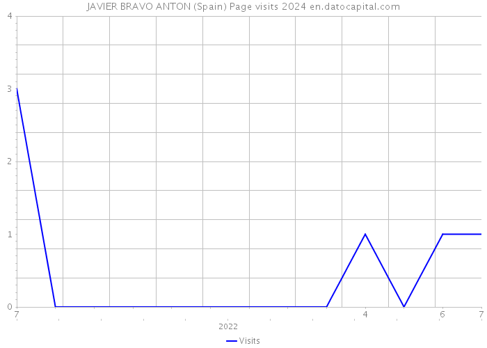JAVIER BRAVO ANTON (Spain) Page visits 2024 