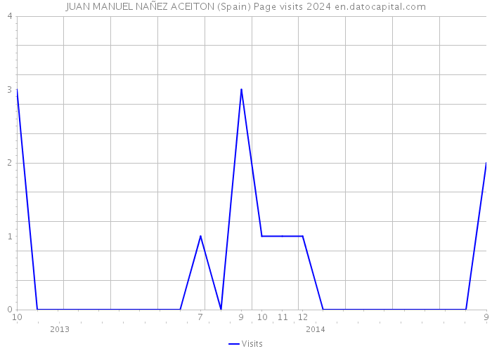 JUAN MANUEL NAÑEZ ACEITON (Spain) Page visits 2024 