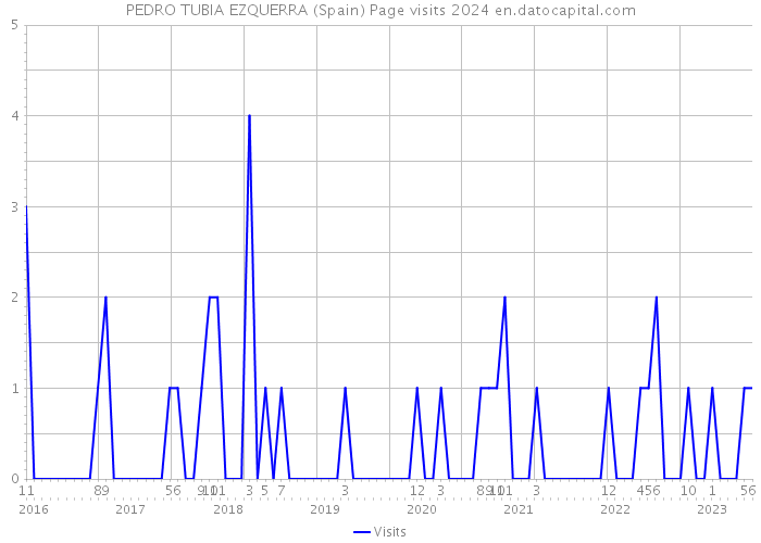 PEDRO TUBIA EZQUERRA (Spain) Page visits 2024 