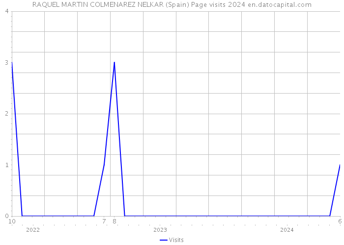 RAQUEL MARTIN COLMENAREZ NELKAR (Spain) Page visits 2024 