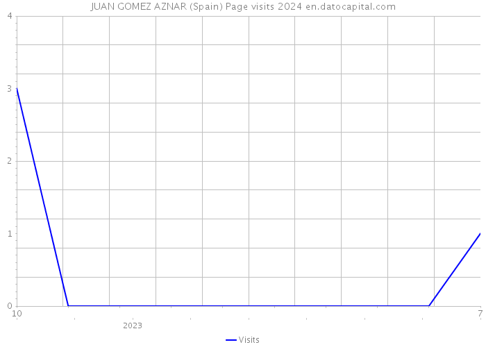 JUAN GOMEZ AZNAR (Spain) Page visits 2024 