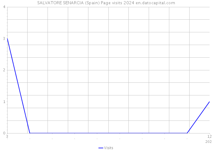 SALVATORE SENARCIA (Spain) Page visits 2024 