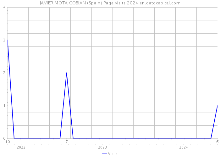 JAVIER MOTA COBIAN (Spain) Page visits 2024 